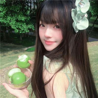 笨金鱼